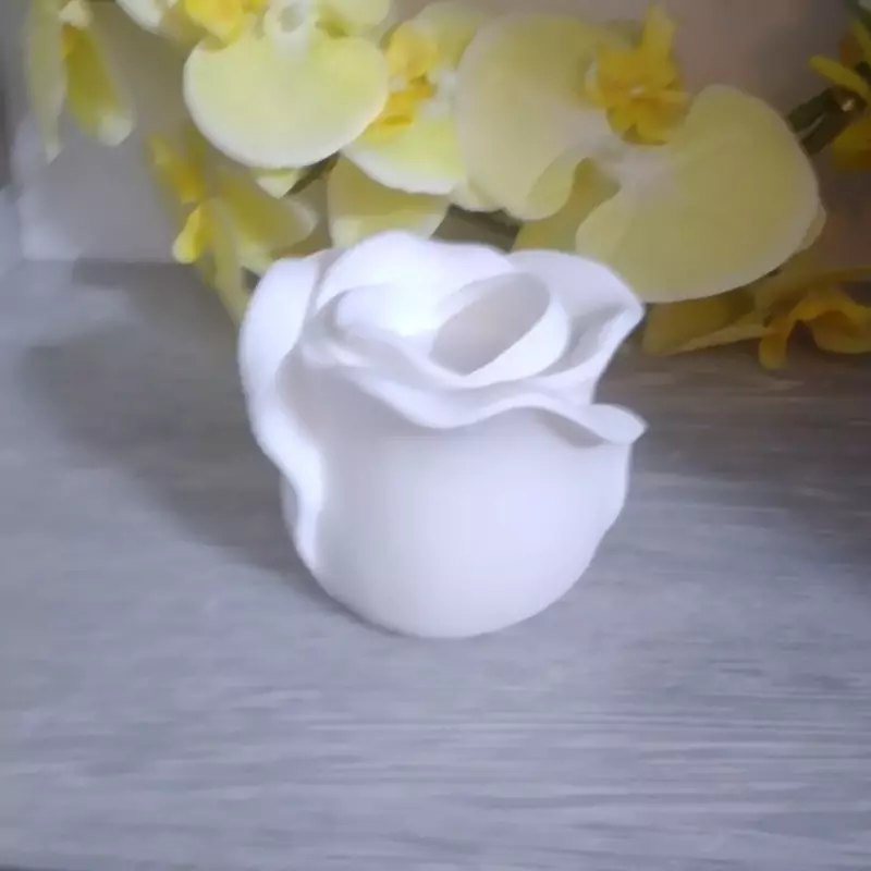 بیس خام لاله بزرگ جای وارمری و...