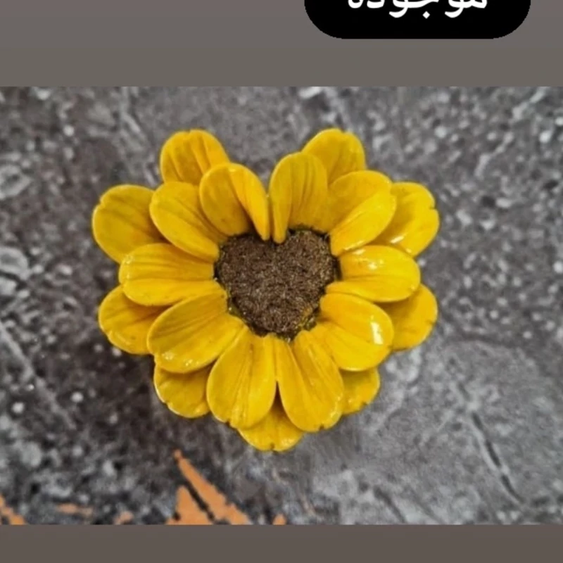 بیس خام بابونه قلبی